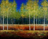 Summer Aspens